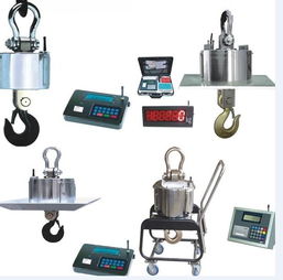 精准高效，源头保障——3吨行车电子钩头秤厂家直销，打造可靠工业称重解决方案